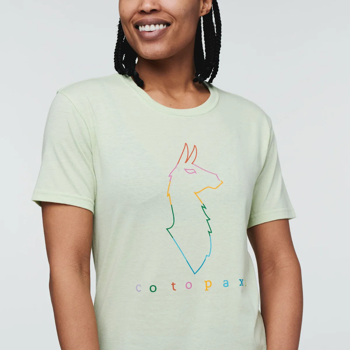 Cotopaxi Electric Llama t-shirt femme gris