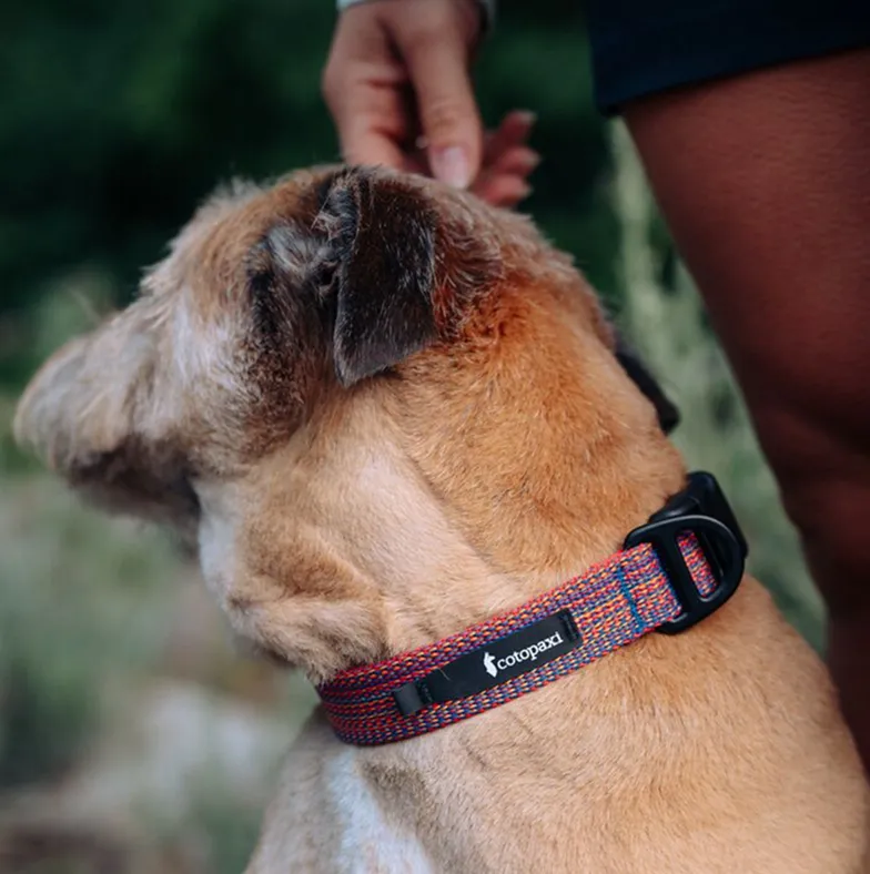 Cotopaxi Del Día collier chien réfléchissant réglable