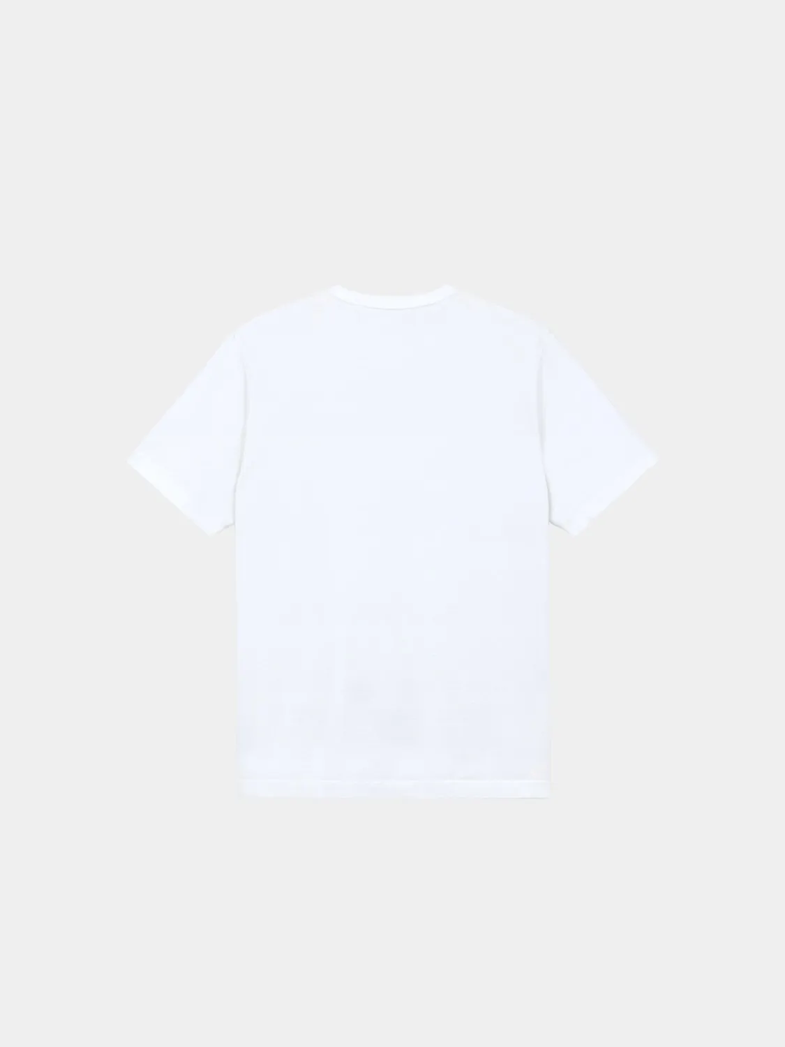 Alpha Industries NASA Worm t-shirt blanc coton