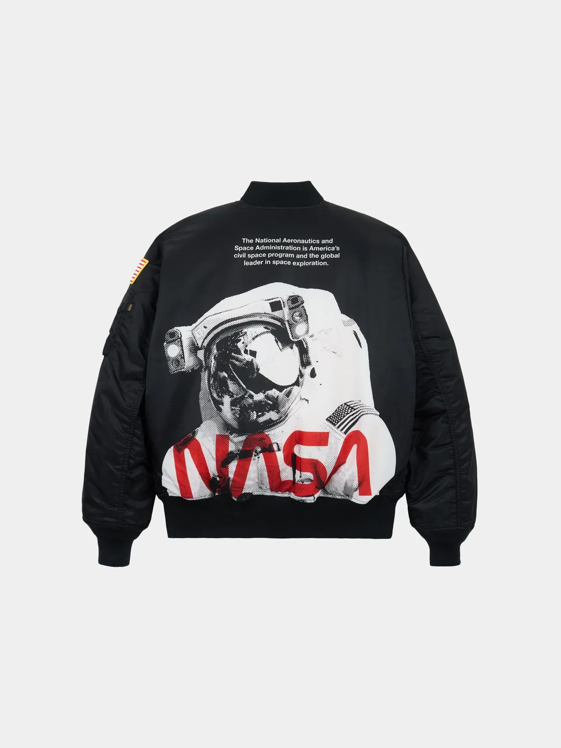 Alpha Industries NASA MA-1 bomber noir réversible isolé