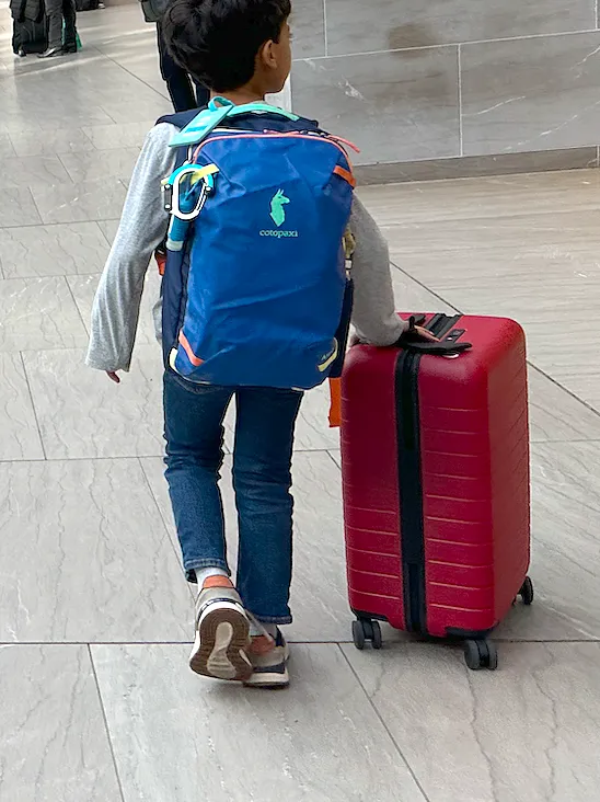 Cotopaxi Allpa Mini sac à dos voyage 20L valise