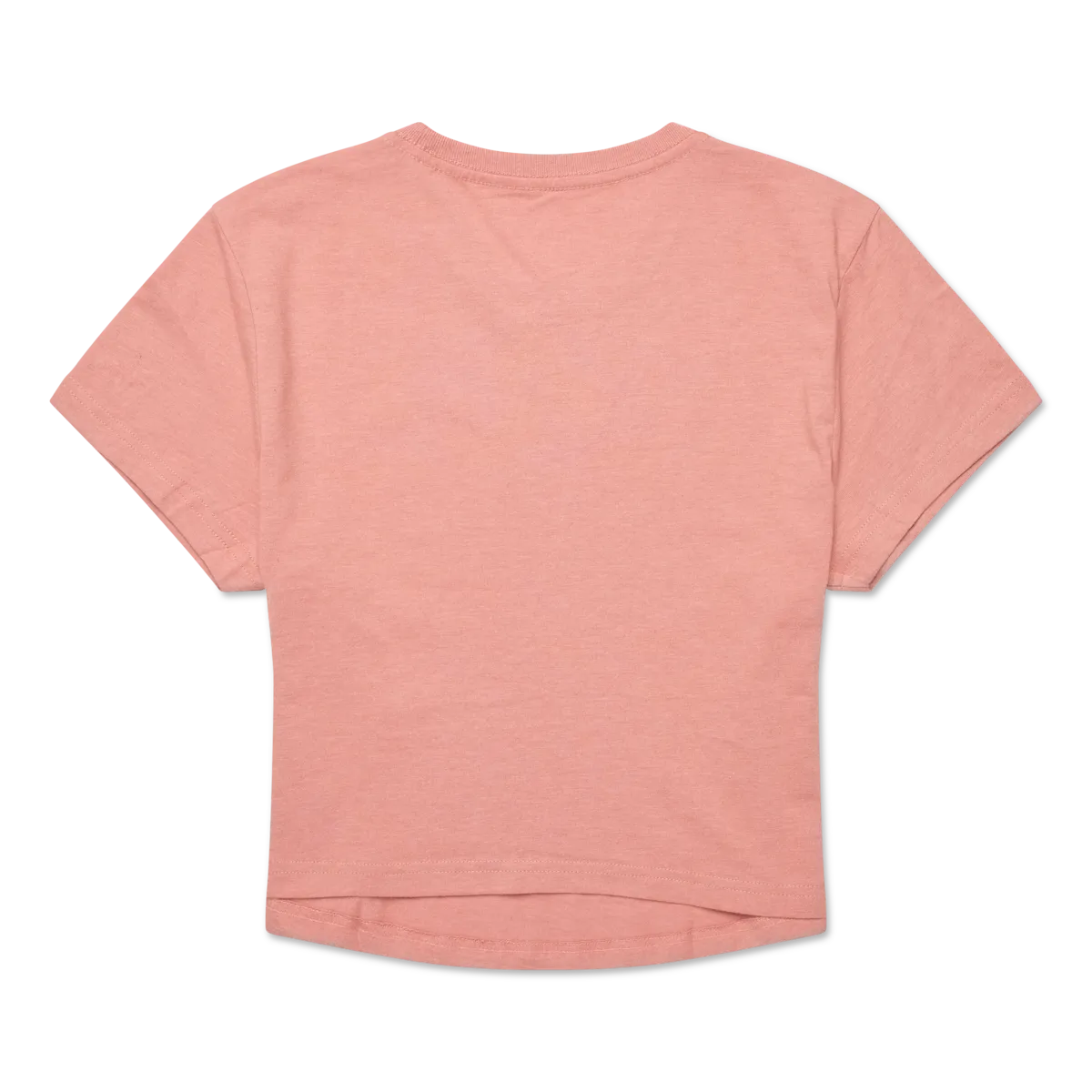 Cotopaxi Tiny Llama Crop tee-shirt femme Clay coton bio