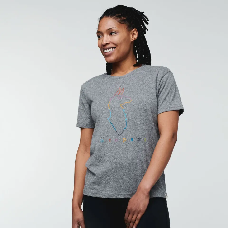 Cotopaxi Electric Llama t-shirt femme gris