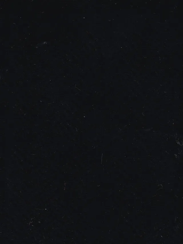Hollington tissu peau de pêche noir chevrons au mètre