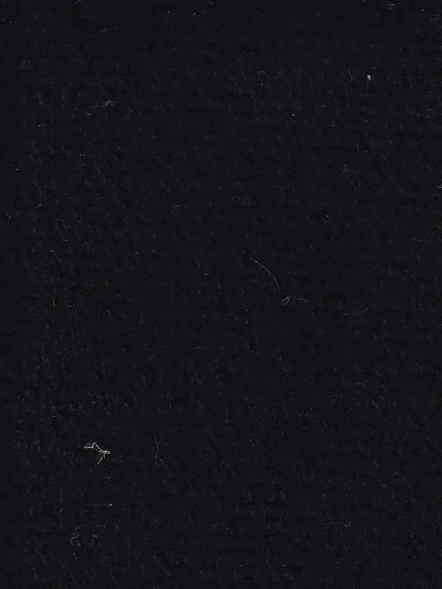 Hollington Winter Black tissu drap laine 10 m hiver