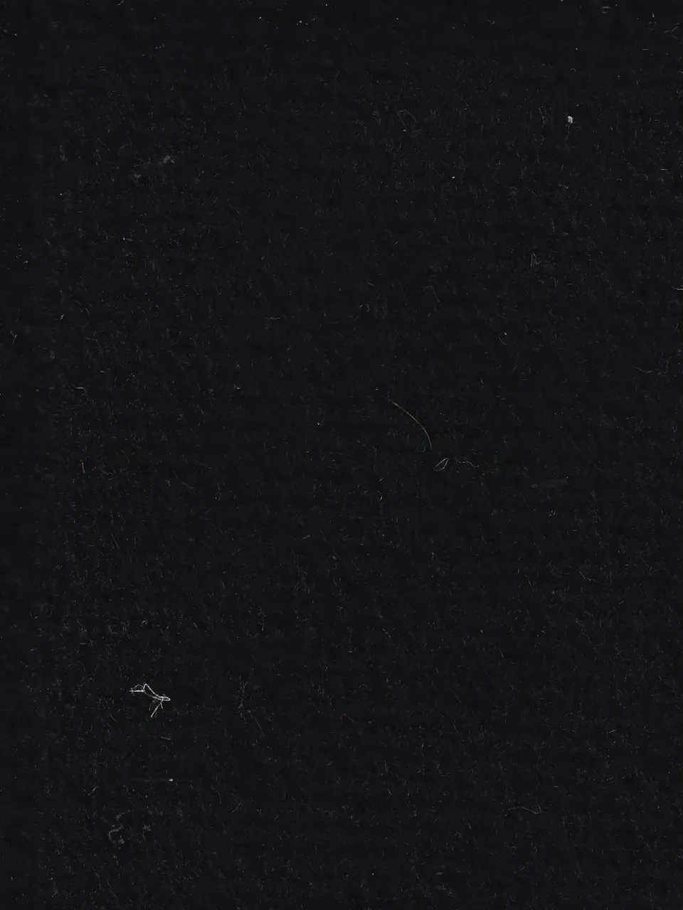 Hollington Winter Black tissu drap laine 10 m hiver