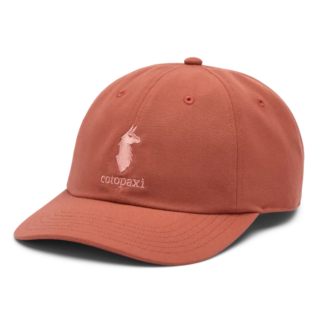 Cotopaxi Dad Hat casquette Sea Spray visière incurvée