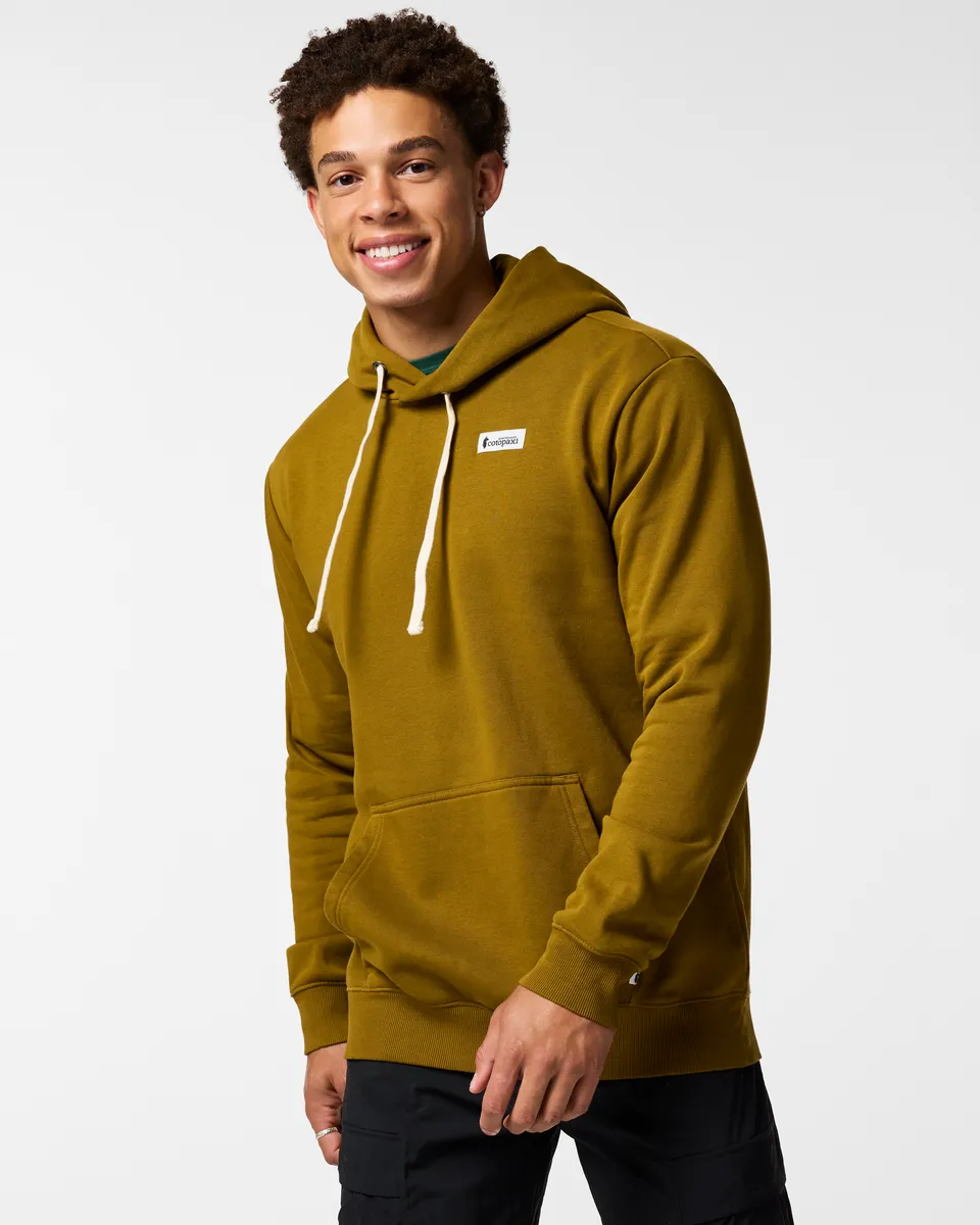 Cotopaxi Llama Patch sweat capuche homme Heather Grey coton bio