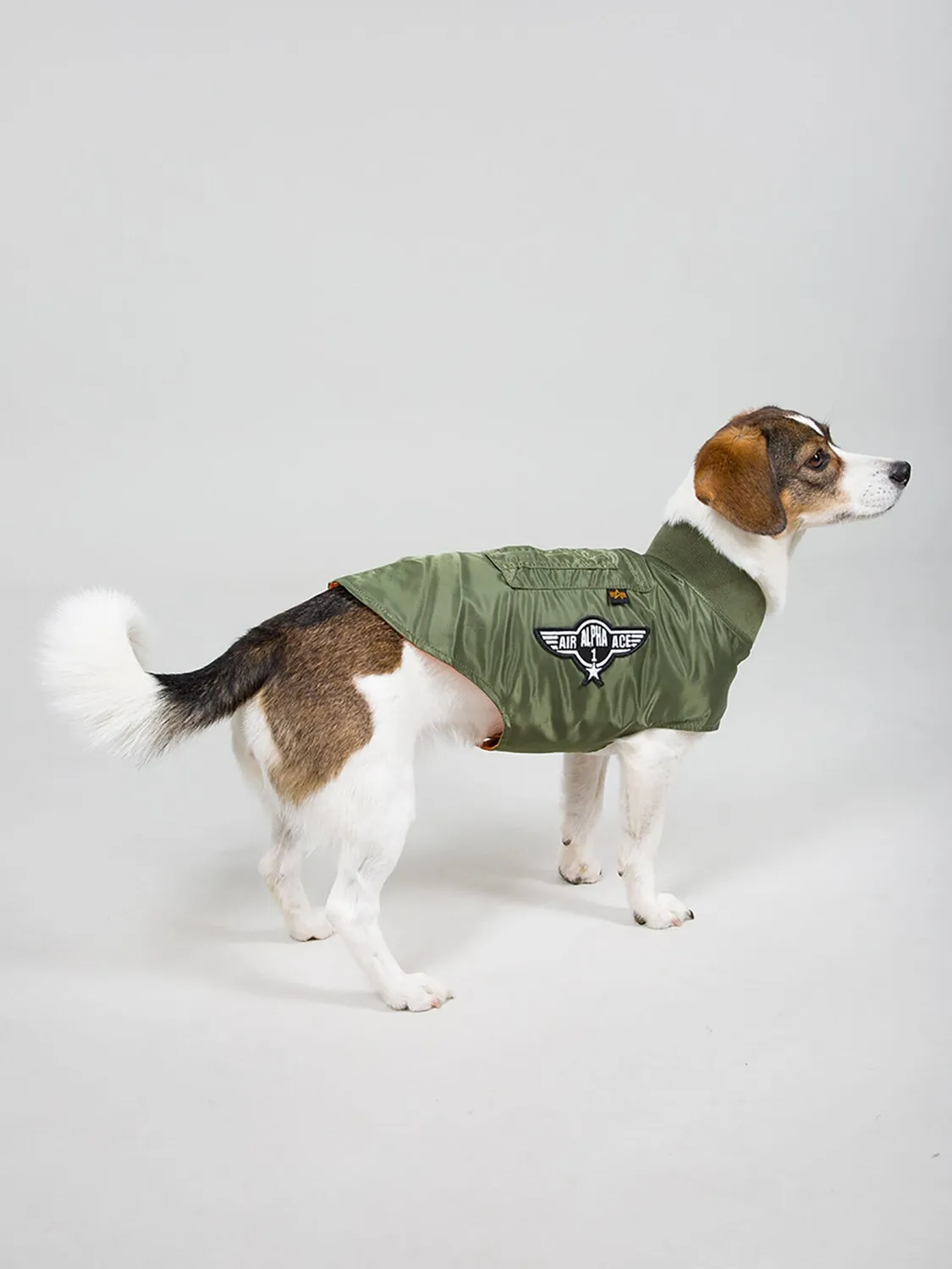 Alpha Industries MA-1 manteau chien nylon sage déperlant