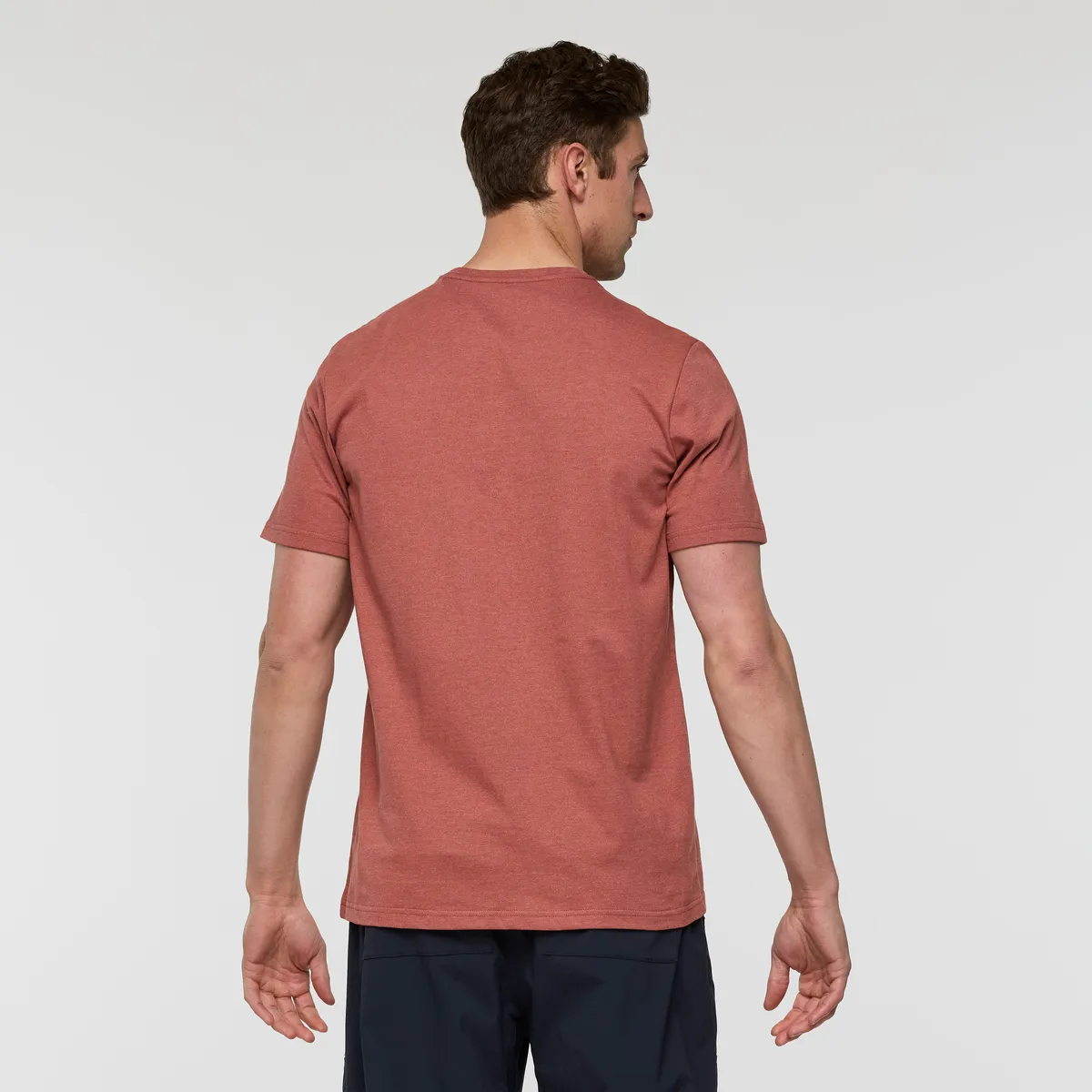 Cotopaxi Llama Hoodoo t-shirt homme Nutmeg coton bio