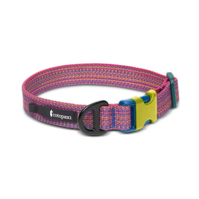 Cotopaxi Del Día collier chien réfléchissant réglable