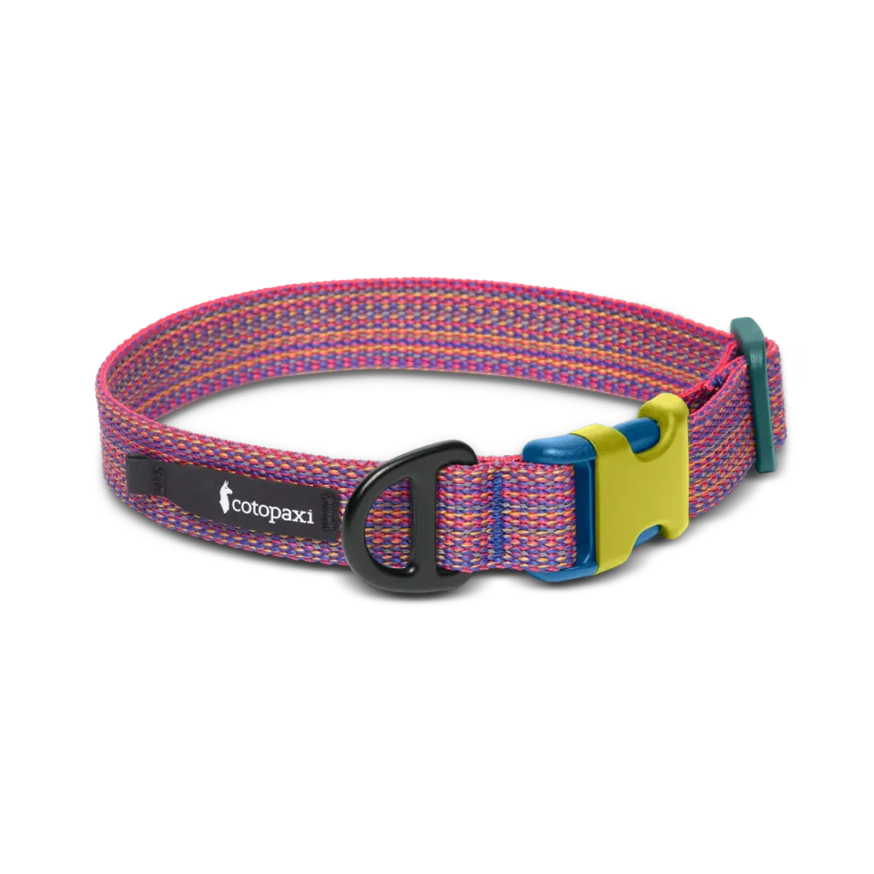 Cotopaxi Del Día collier chien réfléchissant réglable