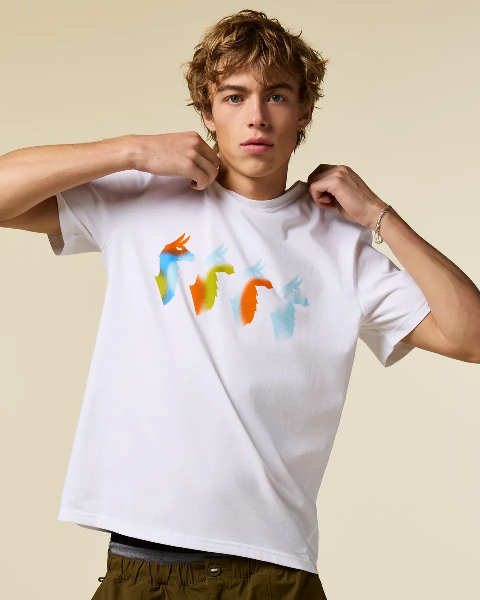 Cotopaxi Cuatro Bitmap T-shirt Homme Husk Coton Bio