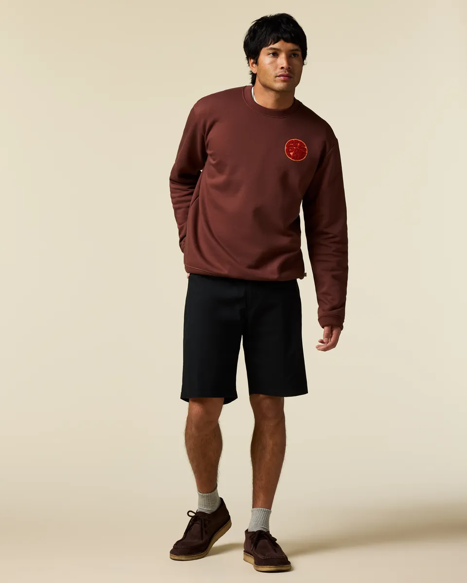 Cotopaxi Ambato Short homme Moss stretch 9 pouces