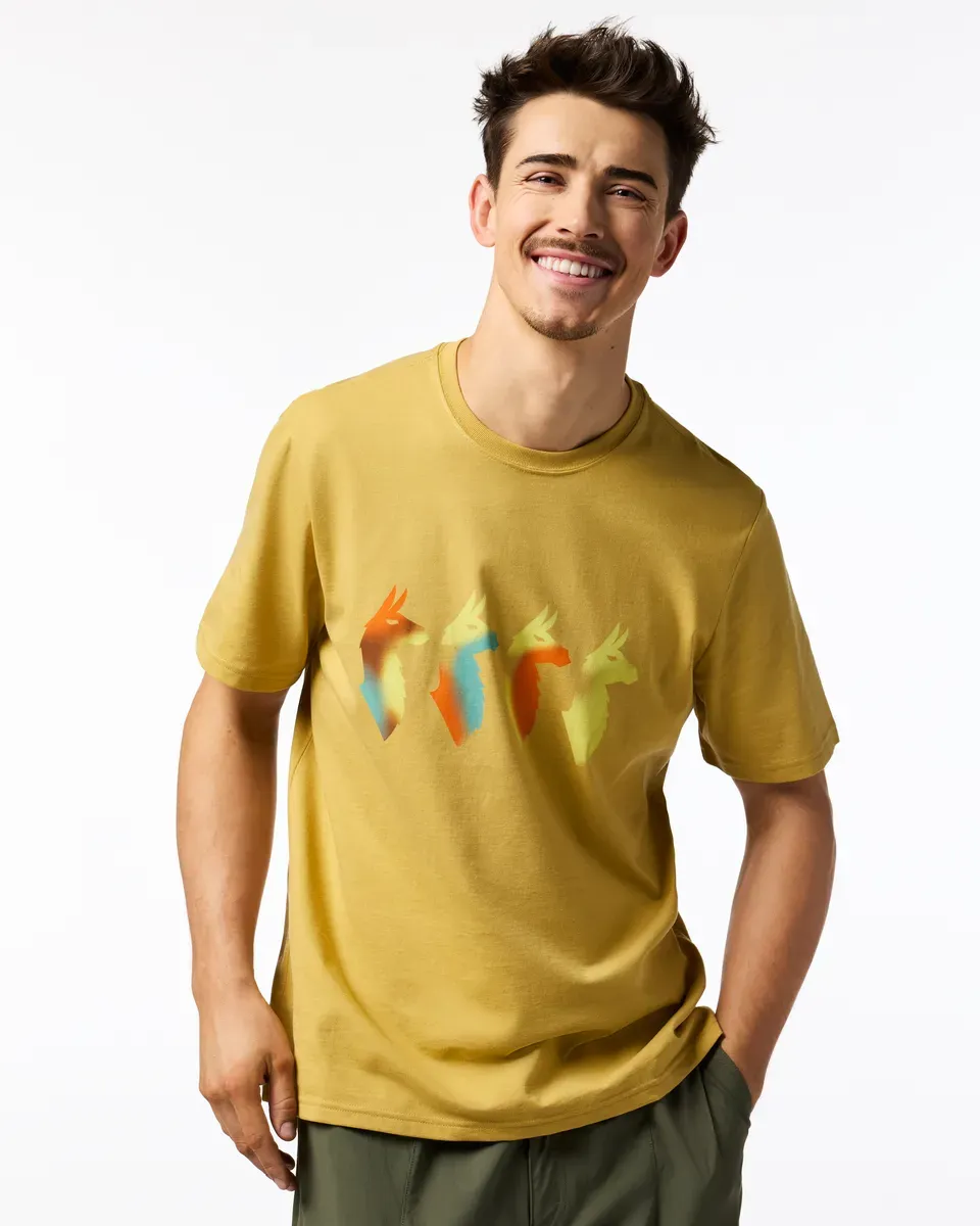 Cotopaxi Cuatro Bitmap T-shirt Homme Husk Coton Bio