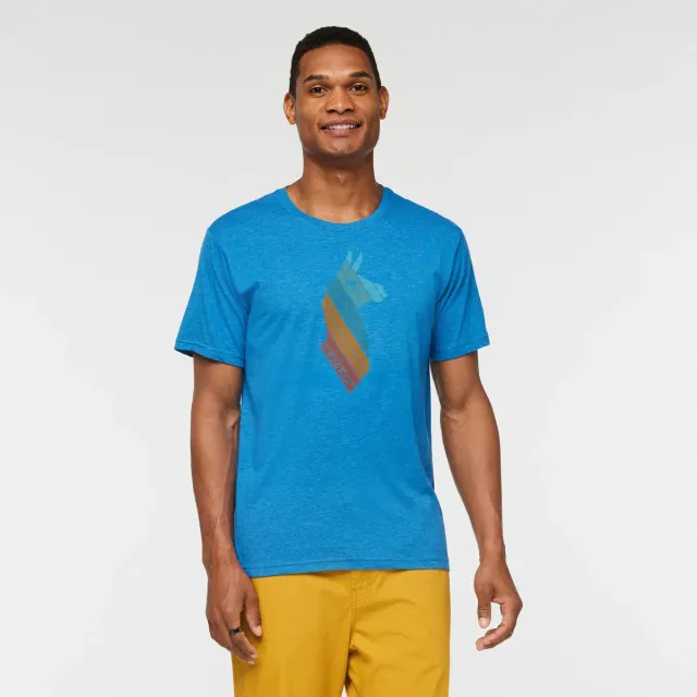 Cotopaxi Llama Stripes T-shirt homme Wheat doux