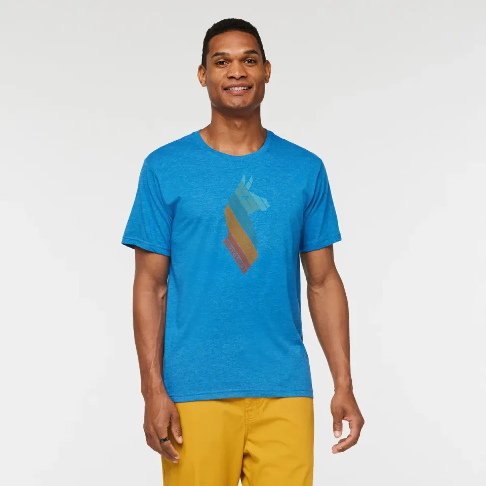 Cotopaxi Llama Stripes T-shirt homme Wheat doux
