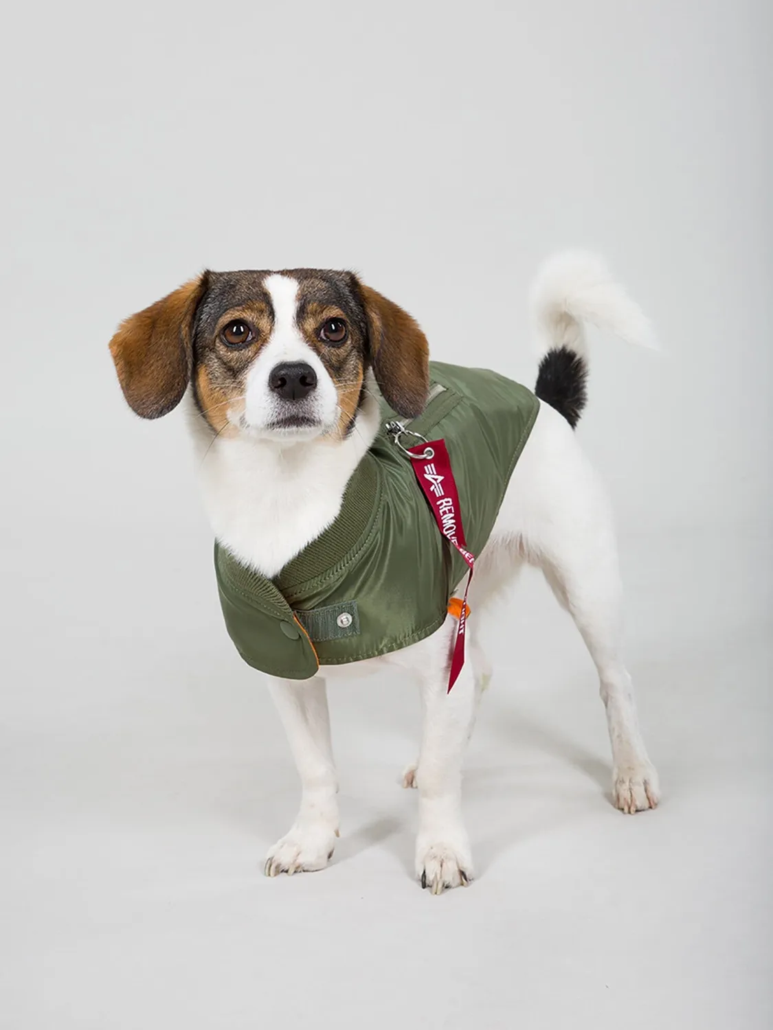 Alpha Industries MA-1 manteau chien nylon sage déperlant