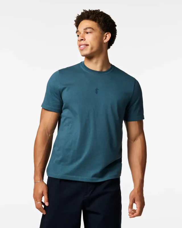 Cotopaxi Llama Icon t-shirt homme Ocean coton bio