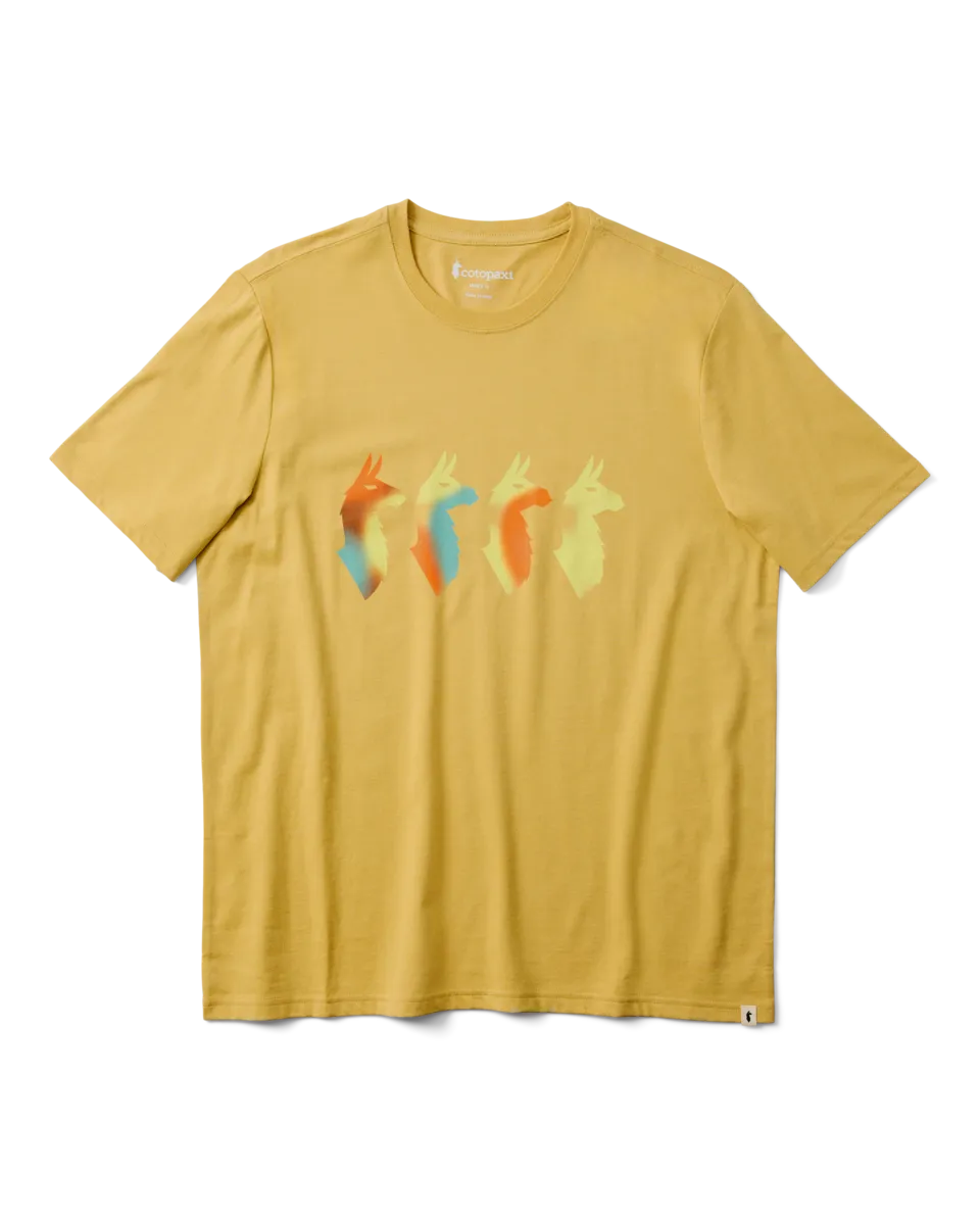 Cotopaxi Cuatro Bitmap T-shirt Homme Husk Coton Bio