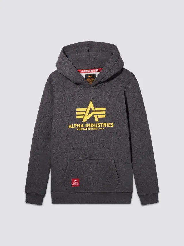 Alpha Industries Basic Hoodie sweat enfant gris coton