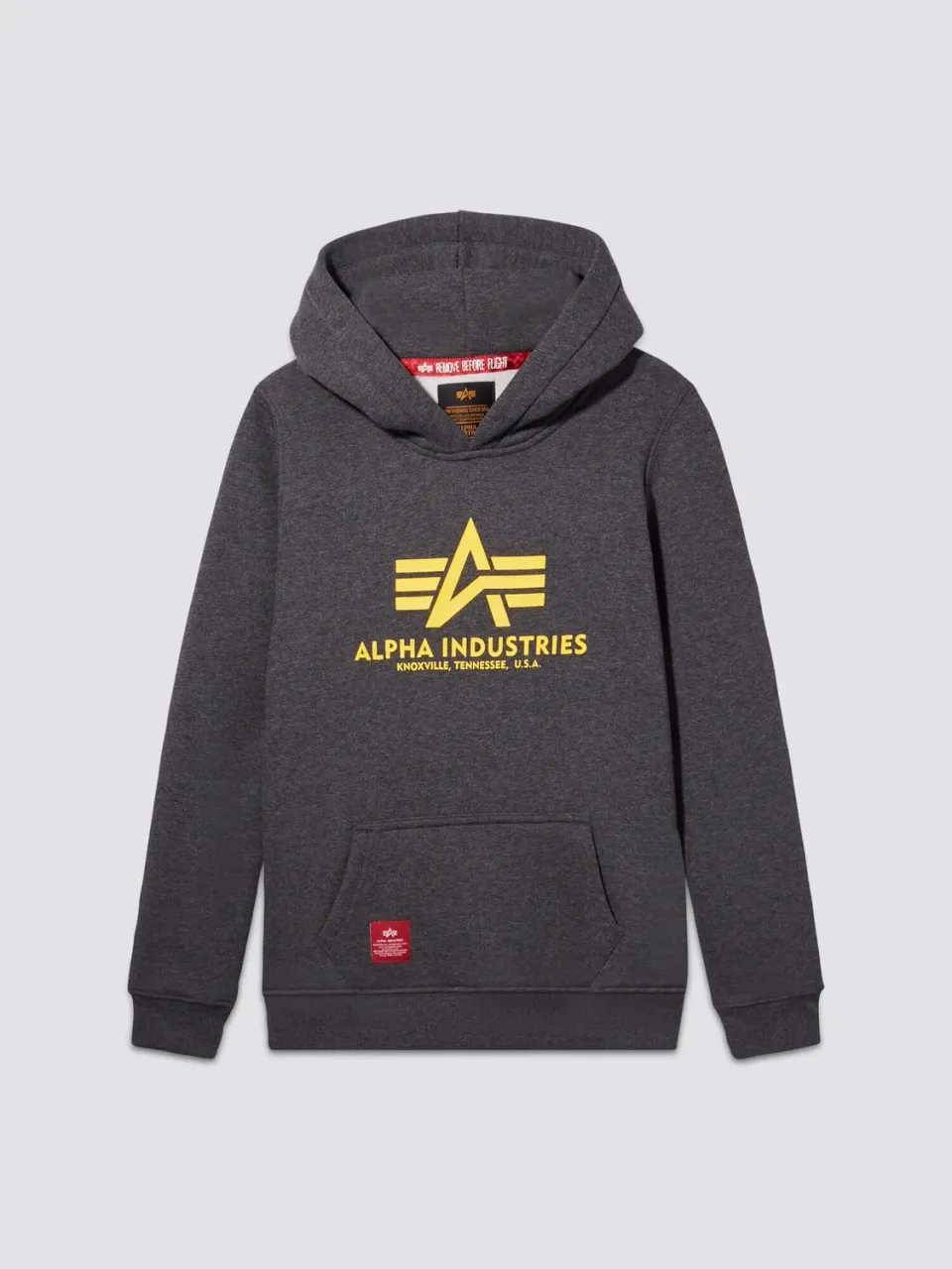 Alpha Industries Basic Hoodie sweat enfant gris coton