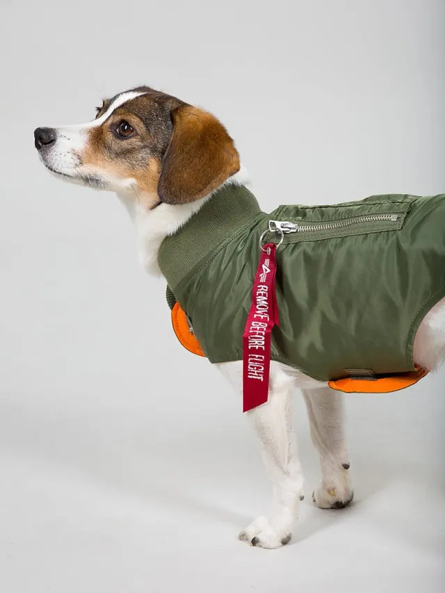 Alpha Industries MA-1 manteau chien nylon sage déperlant