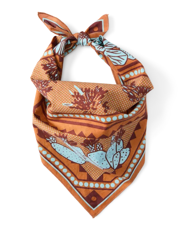 Cotopaxi Organic Cotton bandana Llama Camp coton bio