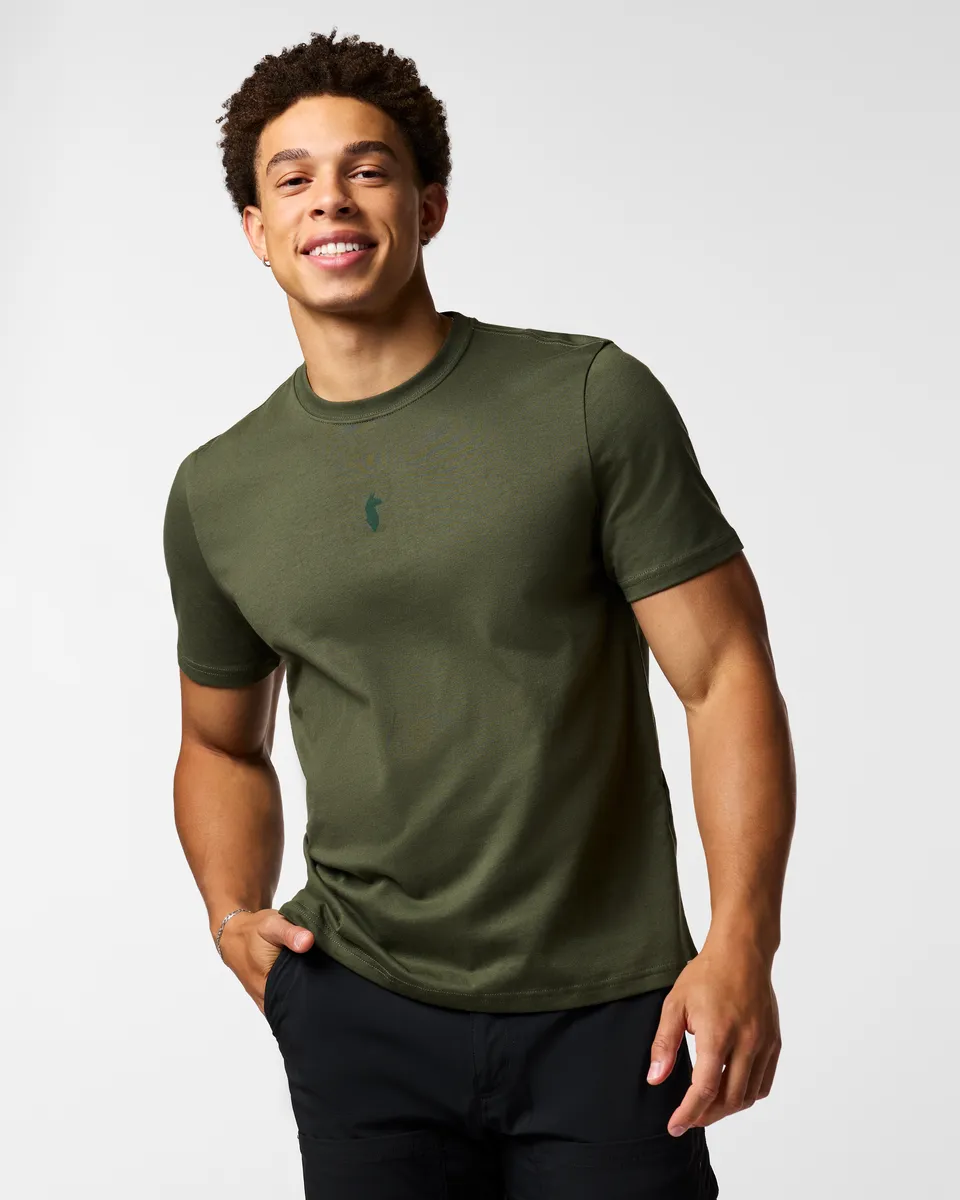 Cotopaxi Llama Icon t-shirt homme Ocean coton bio