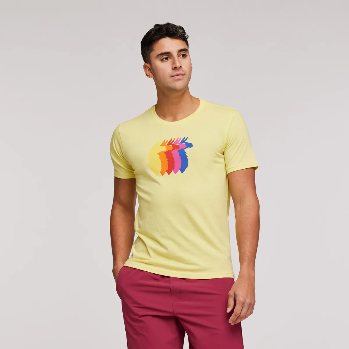 Cotopaxi Llama Sequence t-shirt homme coton manches courtes
