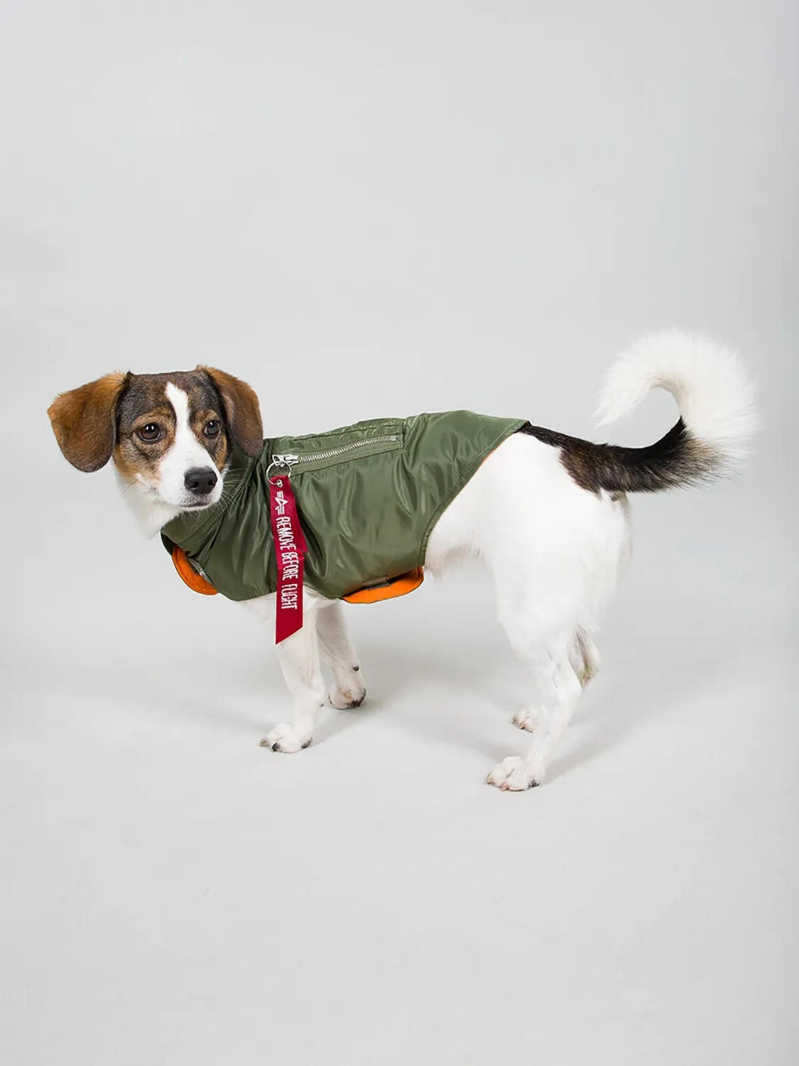 Alpha Industries MA-1 manteau chien nylon sage déperlant