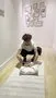 Cotopaxi Viaje 35L sac week-end Cada Día