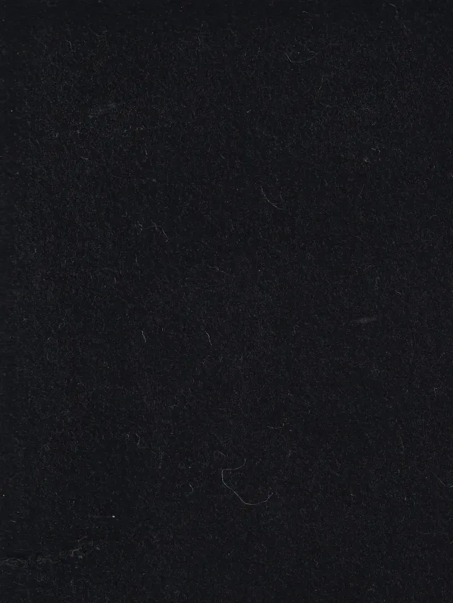 Hollington tissu peau de pêche noir au mètre