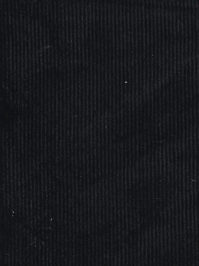 Hollington tissu velours milleraies noir 14 m