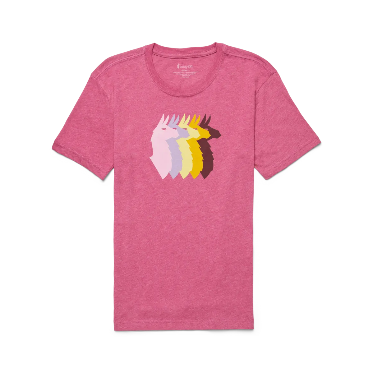 Cotopaxi Llama Sequence t-shirt femme Sea Spray coton