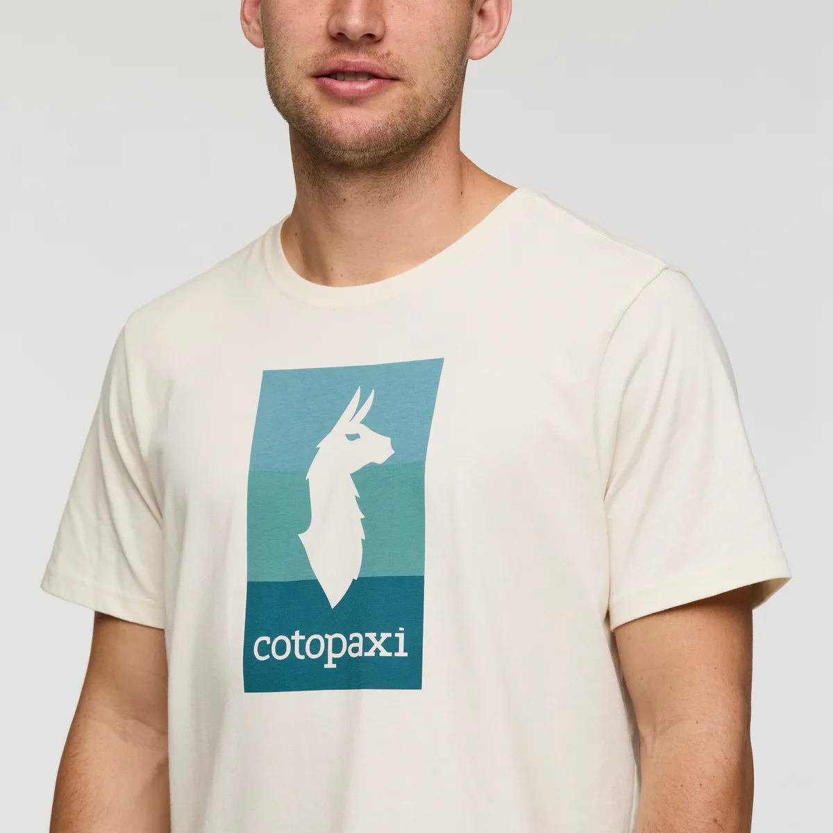 Cotopaxi Llama Block T-shirt homme Sea Spray coton bio