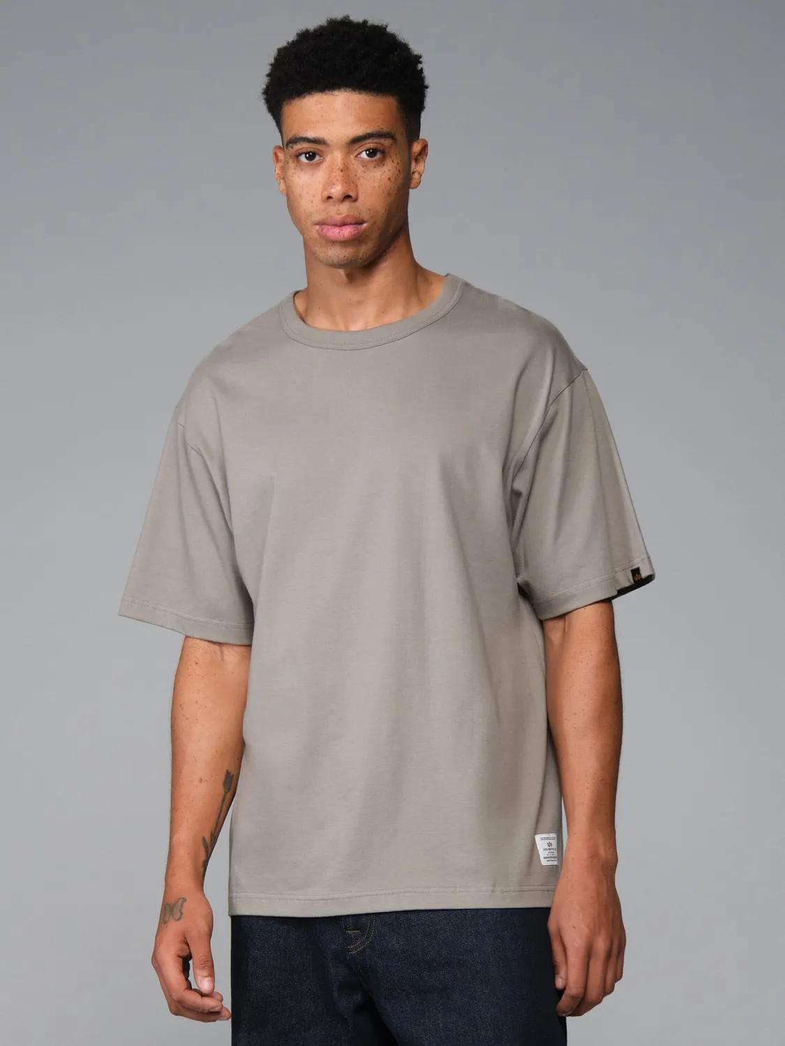 Alpha Industries Essential Destination t-shirt homme gris coton