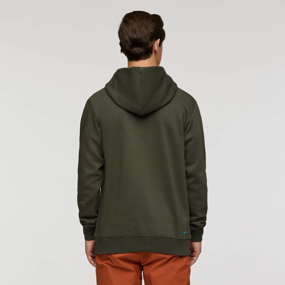Cotopaxi Llama Pullover Hoodie sweat homme Woods lama