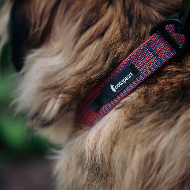 Cotopaxi Del Día collier chien réfléchissant réglable